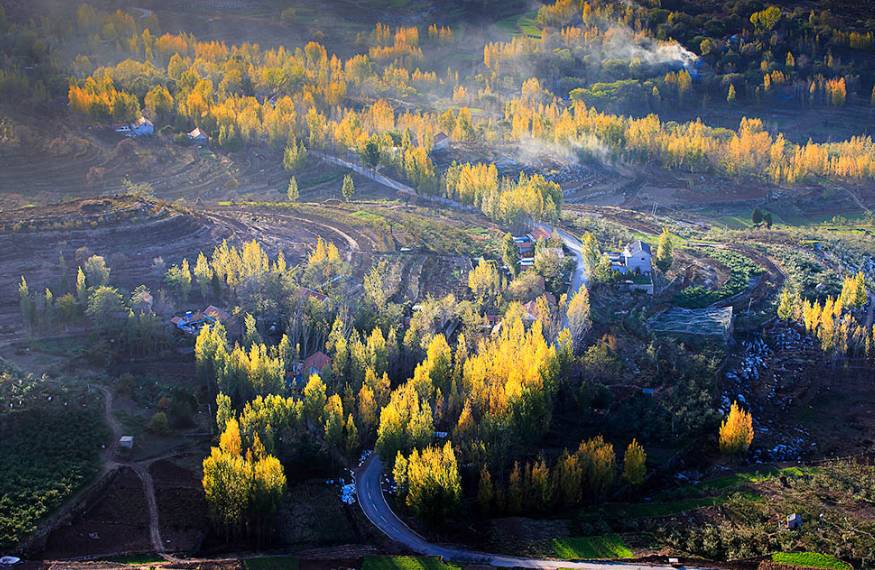 沂蒙山舍，呼吸大自然“臥聽松嘯 伴山而眠”