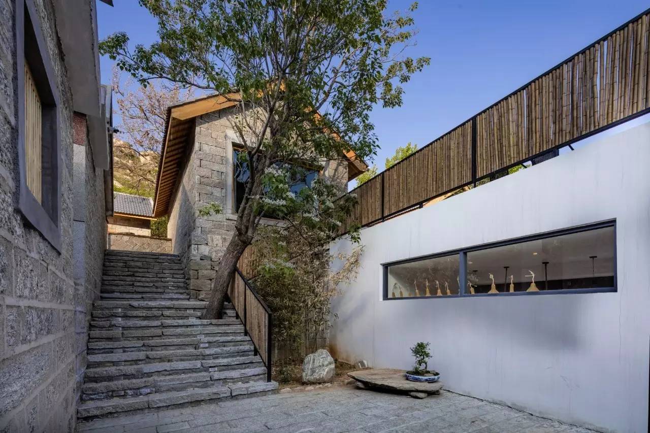 沂蒙山舍，呼吸大自然“臥聽松嘯 伴山而眠”