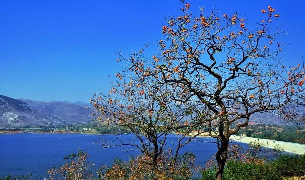 沂蒙山舍，呼吸大自然“臥聽(tīng)松嘯 伴山而眠”