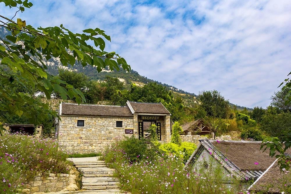 沂蒙山舍，呼吸大自然“臥聽松嘯 伴山而眠”
