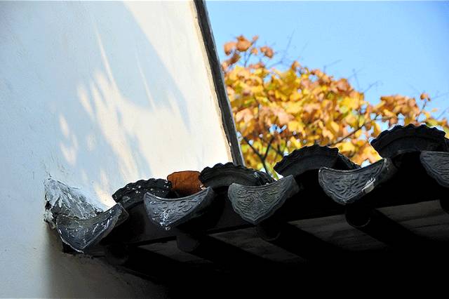 中國(guó)人在秋天的九種情調(diào)，唯美古風(fēng)句子