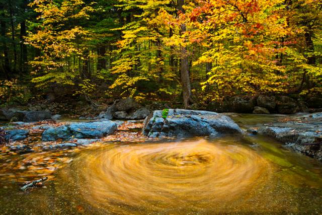 中國人在秋天的九種情調(diào)，唯美古風(fēng)句子