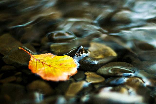 中國人在秋天的九種情調(diào)，唯美古風(fēng)句子