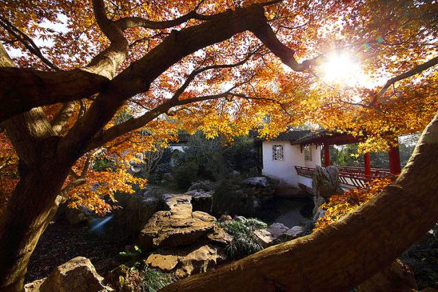 中國人在秋天的九種情調(diào)，唯美古風(fēng)句子