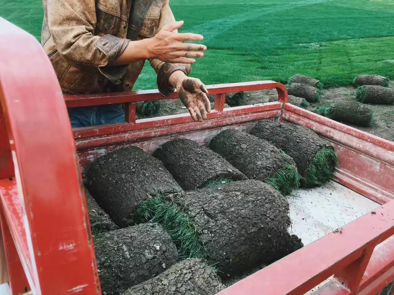大理吾居，吾之居所無拘無束