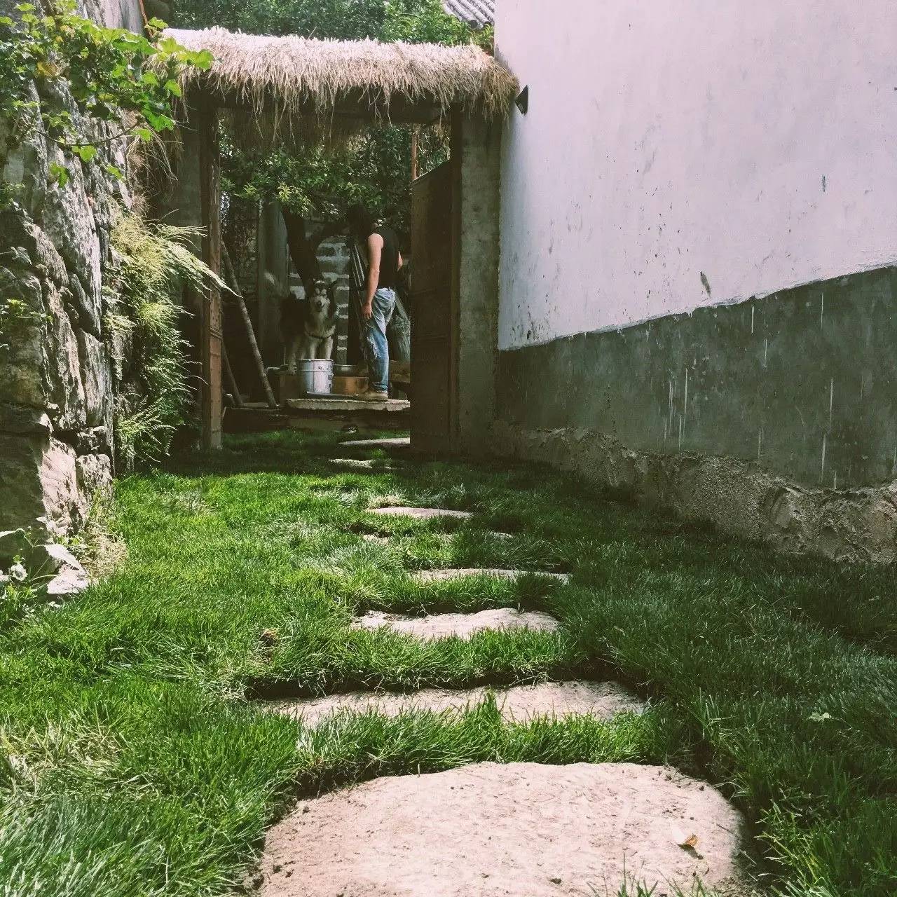 大理吾居，吾之居所無拘無束