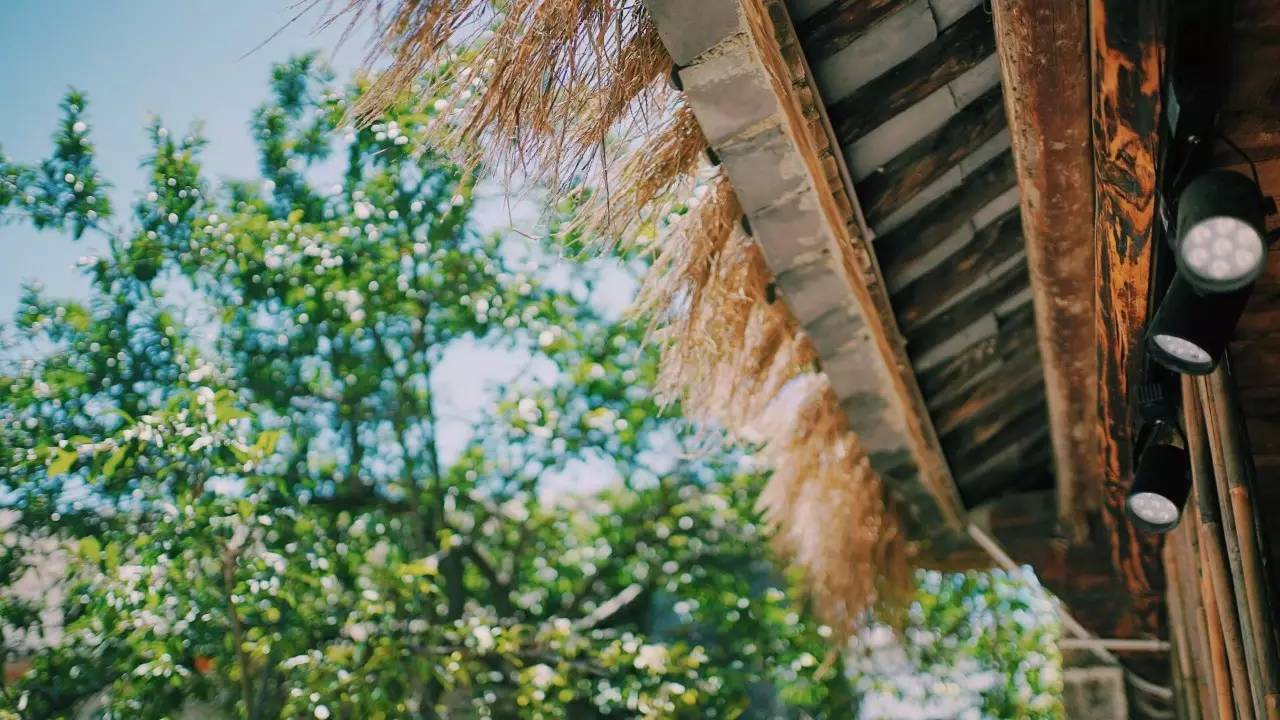 大理吾居，吾之居所無拘無束