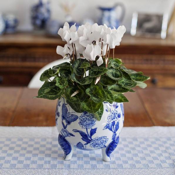 青花瓷，最美是青花!