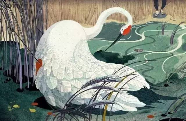 福布斯榜最年輕插畫師：我筆下的家佳樂文學