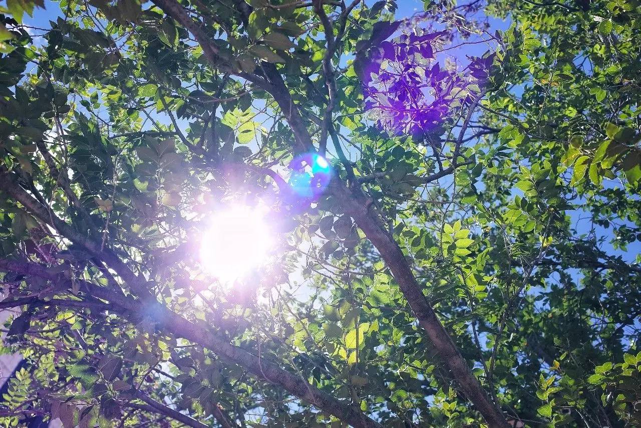 拉薩香格里拉酒店，睡在世界屋脊之上