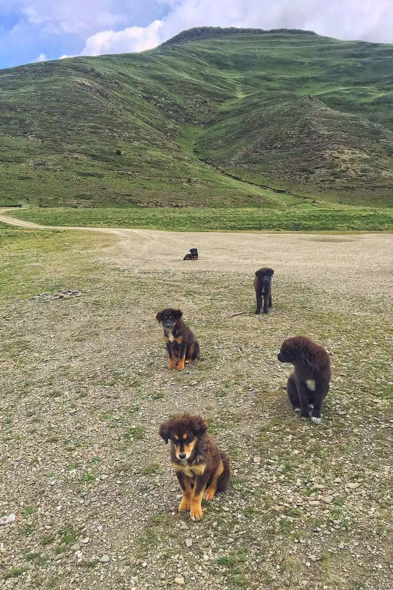 拉薩香格里拉酒店，睡在世界屋脊之上