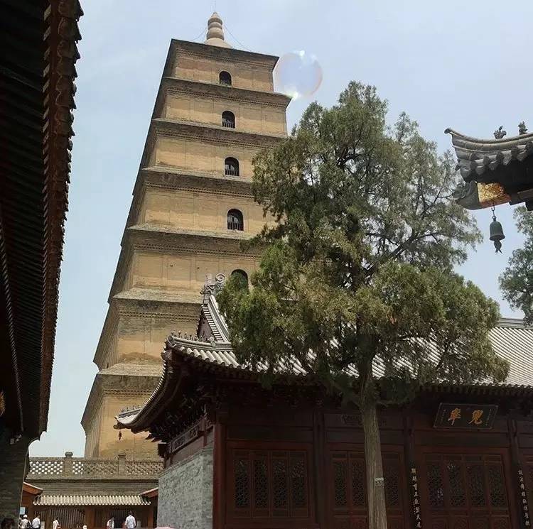種類繁多的中國佛塔，佛教文化博大精深