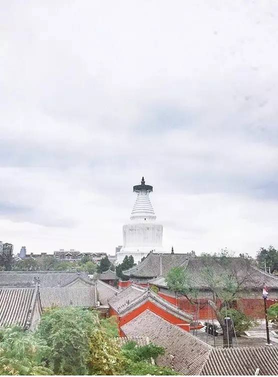 種類繁多的中國佛塔，佛教文化博大精深