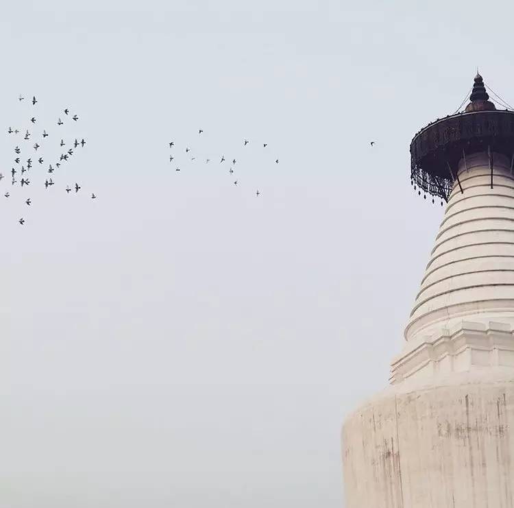 種類繁多的中國佛塔，佛教文化博大精深