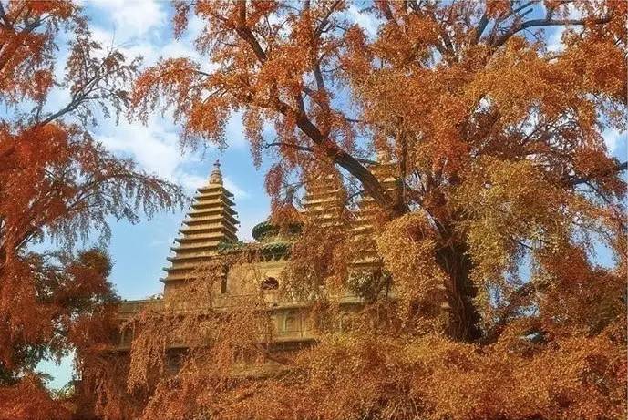 種類繁多的中國(guó)佛塔，佛教文化博大精深