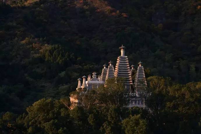 種類繁多的中國佛塔，佛教文化博大精深