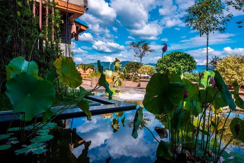 茶隱山房，以茶會友隱逸塵世