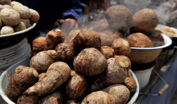 棲霞山居，溪流環(huán)繞在古村落捕魚看霞光