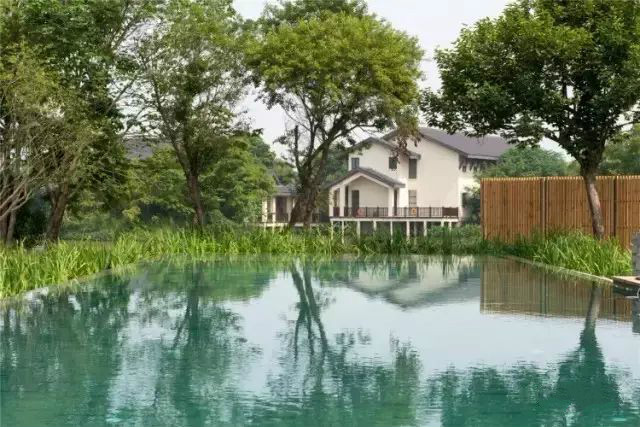 西溪濕地三款最美避世酒店，果然一派驚艷