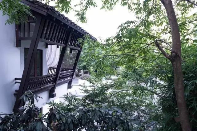 西溪濕地三款最美避世酒店，果然一派驚艷