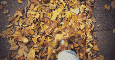 22款與秋相關(guān)的唯美句子，唯美古風(fēng)句子