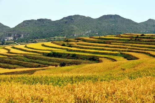 22款與秋相關(guān)的唯美句子，唯美古風(fēng)句子