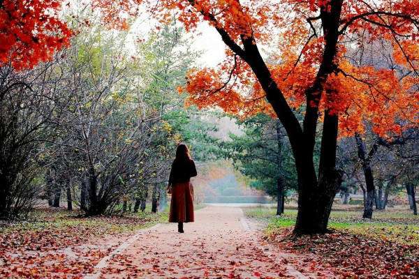 22款與秋相關(guān)的唯美句子，唯美古風(fēng)句子