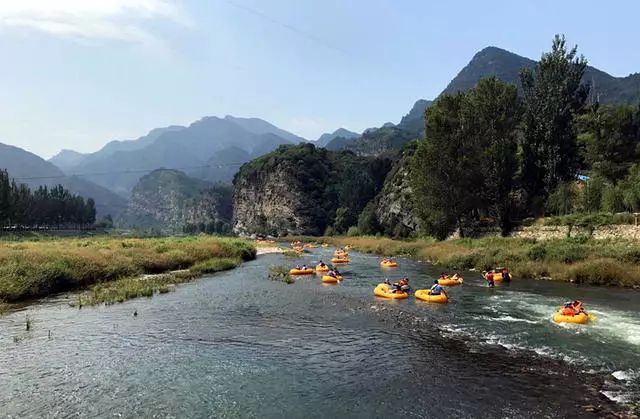 北京懷柔白鳥集，飛翔的白鳥我在等你乘風歸來