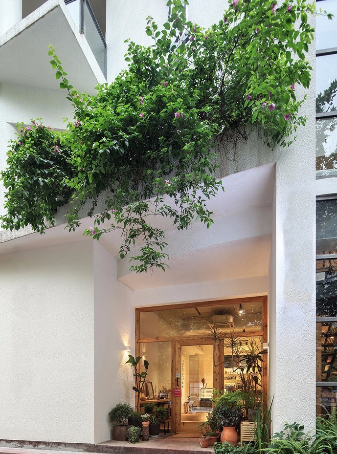 北京懷柔白鳥集，飛翔的白鳥我在等你乘風歸來