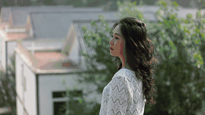 北京懷柔白鳥集，飛翔的白鳥我在等你乘風(fēng)歸來