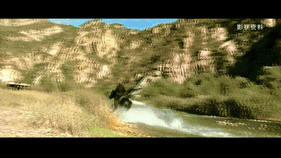 北京懷柔白鳥集，飛翔的白鳥我在等你乘風歸來