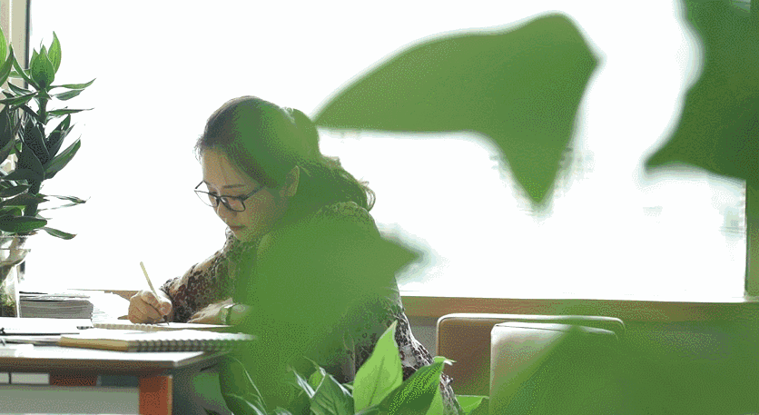 北京懷柔白鳥集，飛翔的白鳥我在等你乘風歸來