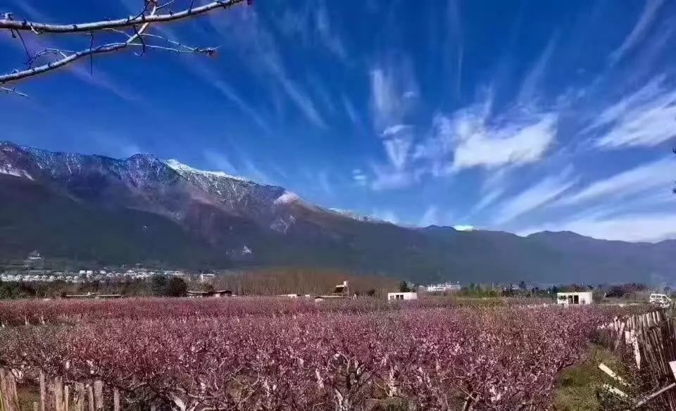 麗江束河聚寶齋民宿，告別曾經(jīng)邂逅未來的美麗