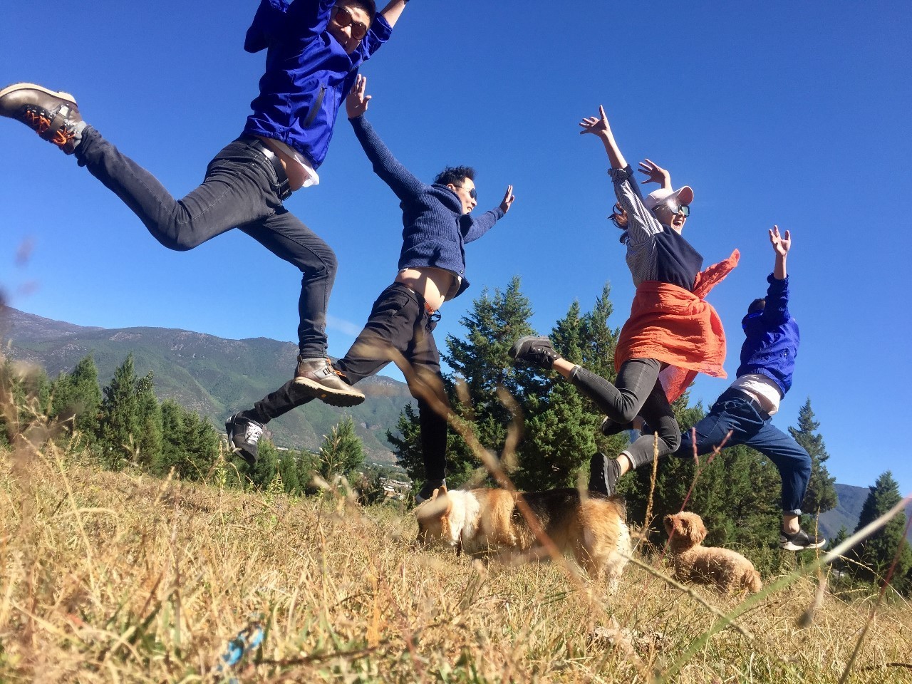 麗江束河聚寶齋民宿，告別曾經(jīng)邂逅未來(lái)的美麗