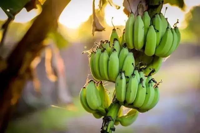 Airbnb上民宿，遇見你日子原來這么美妙