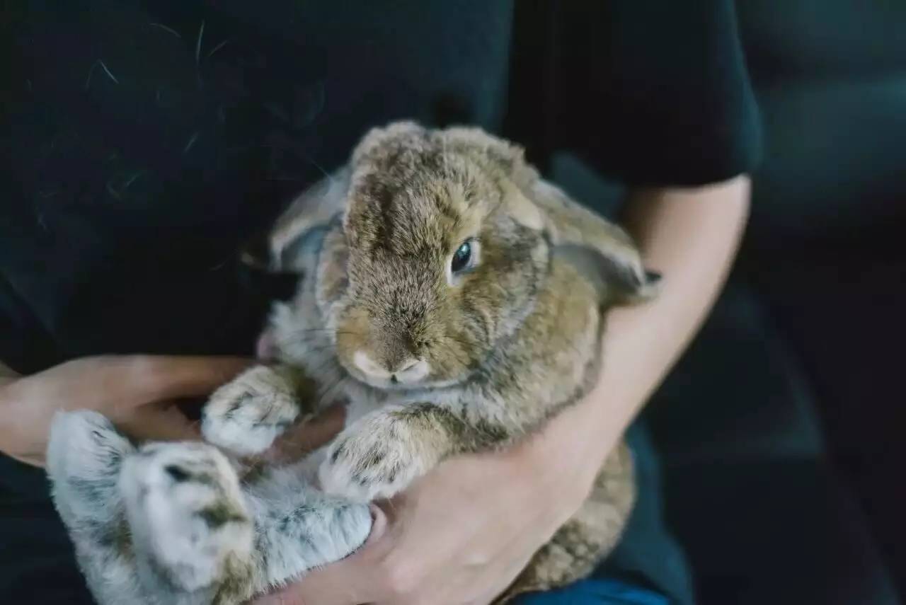 Airbnb上民宿，遇見你日子原來這么美妙