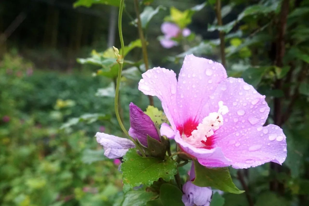 杭州·天方夜潭，給你一個「山脊之巔」的舞臺