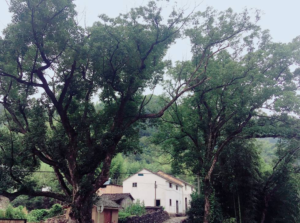 杭州·天方夜潭，給你一個(gè)「山脊之巔」的舞臺(tái)