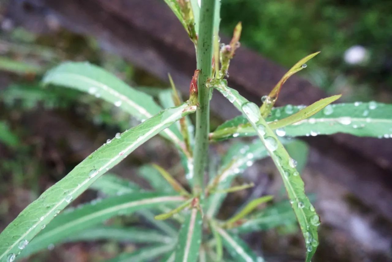 杭州·天方夜潭，給你一個(gè)「山脊之巔」的舞臺(tái)