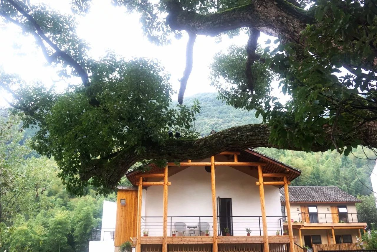 杭州·天方夜潭，給你一個「山脊之巔」的舞臺