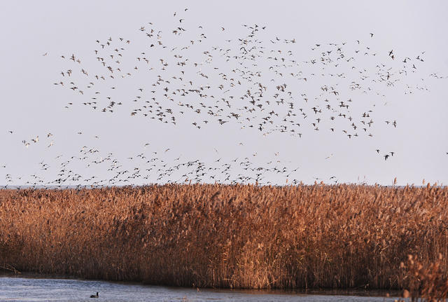 十二行宮·白羊?qū)m，盡享環(huán)島騎車之行