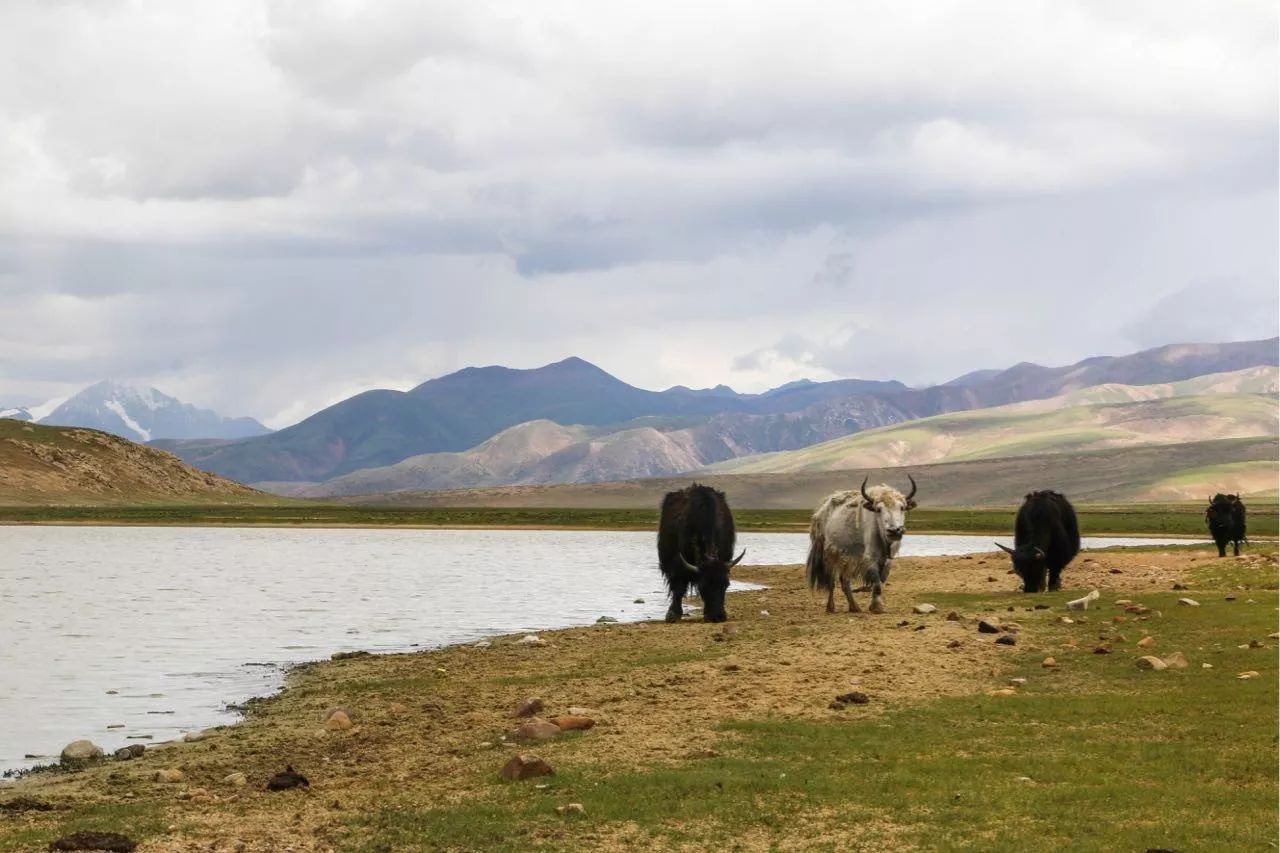 十二行宮·白羊?qū)m，盡享環(huán)島騎車之行