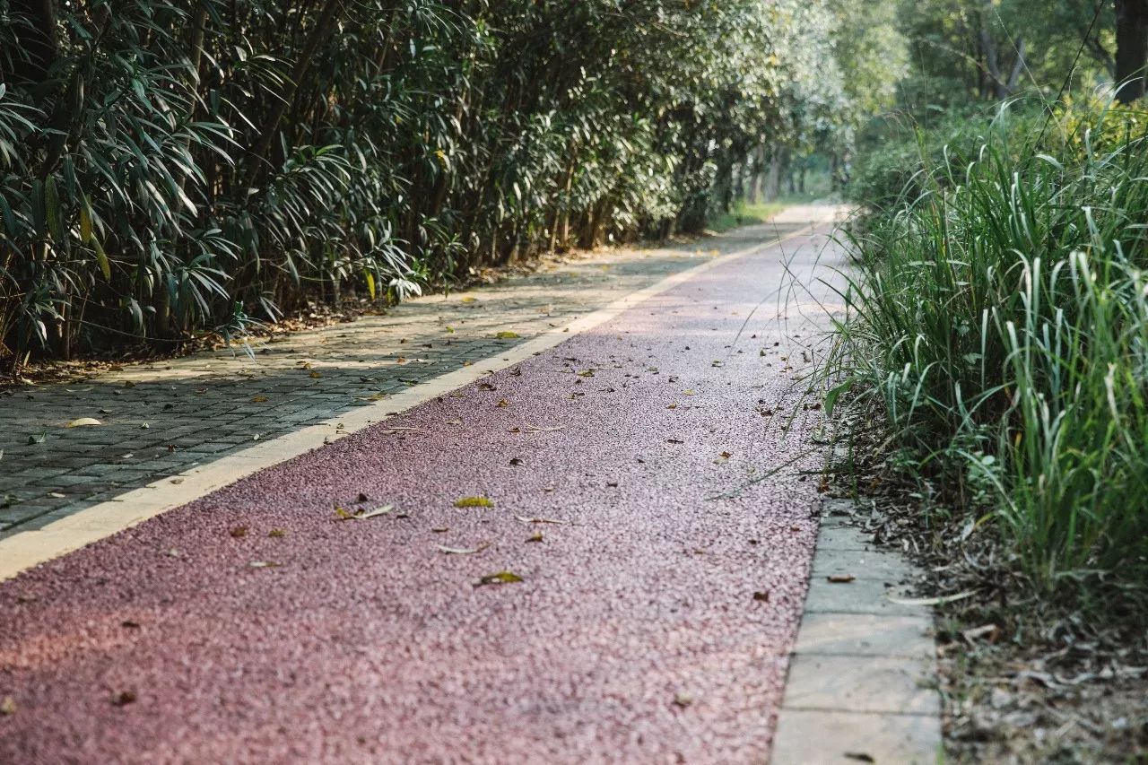 十二行宮·白羊?qū)m，盡享環(huán)島騎車之行