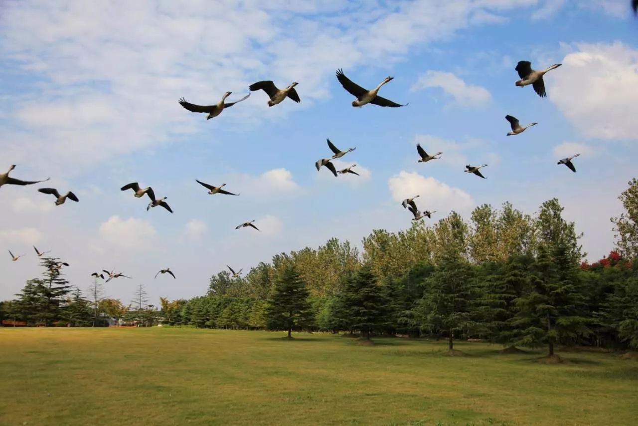 十二行宮·白羊?qū)m，盡享環(huán)島騎車之行