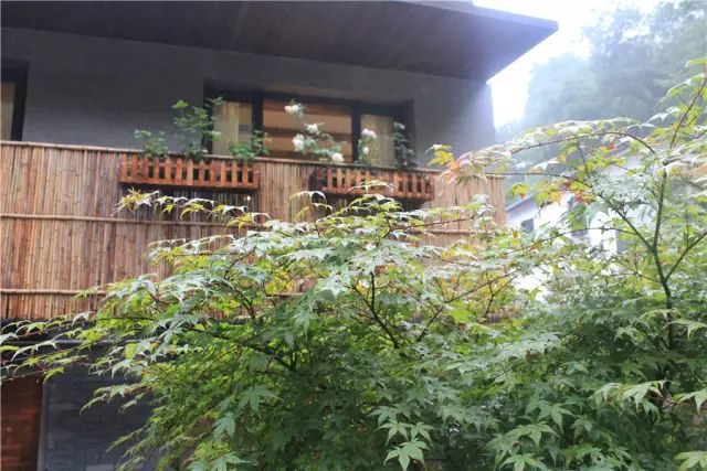 杭州·一色山墅，滿覺隴的月色喝茶散步都是雅事