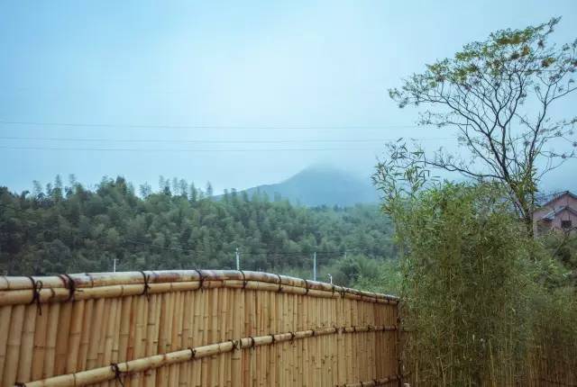 木葉夏民宿，云天收夏色木葉動秋聲