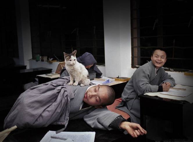 寺廟佛教文化，蕓蕓眾生便是修行