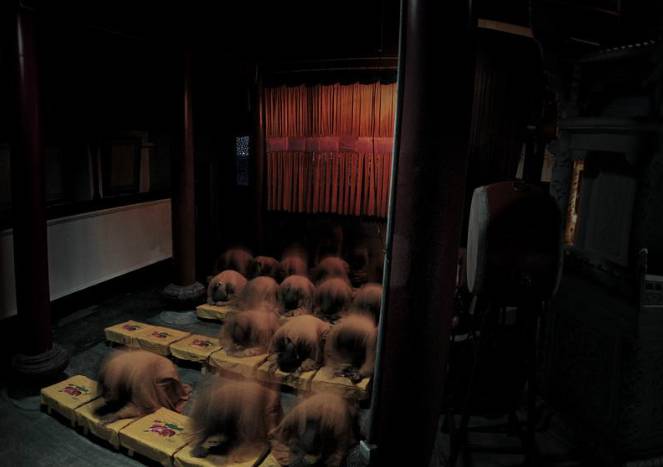 寺廟佛教文化，蕓蕓眾生便是修行