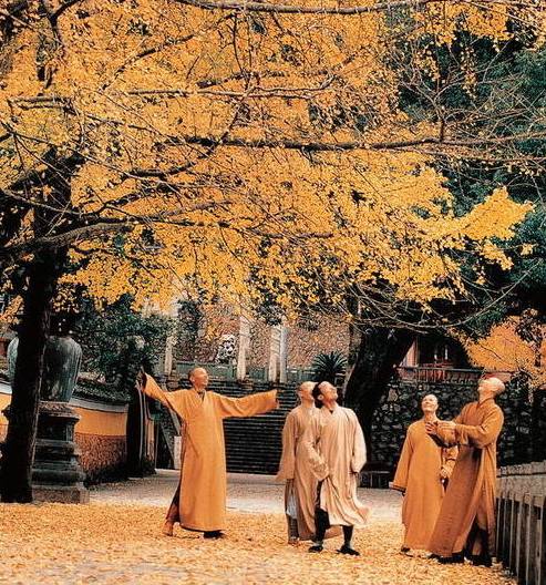 寺廟佛教文化，蕓蕓眾生便是修行