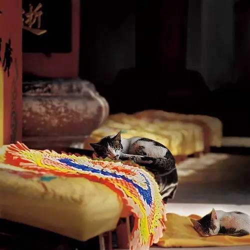 寺廟佛教文化，蕓蕓眾生便是修行